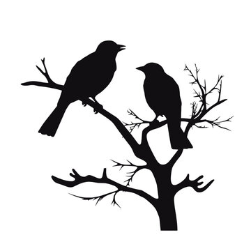 Birds on branch tree silhouette in black color. Vector template for tattoo or laser cutting.