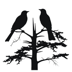 A bird sitting on top of a tree branch