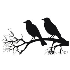 A bird sitting on top of a tree branch