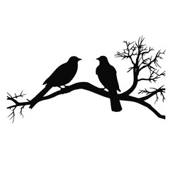 A birds sitting on top of a tree branch
