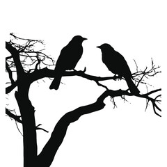 A birds sitting on top of a tree branch