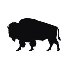 silhouette  of American bison, or buffalo