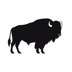 silhouette  of American bison, or buffalo