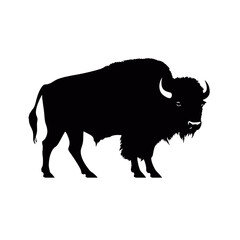 silhouette  of American bison, or buffalo