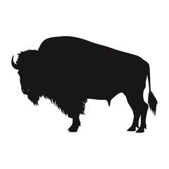 silhouette  of American bison, or buffalo