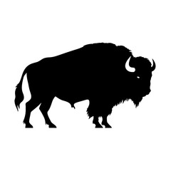 silhouette  of American bison, or buffalo