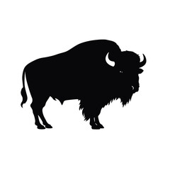 silhouette  of American bison, or buffalo