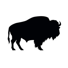 silhouette  of American bison, or buffalo