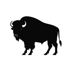 silhouette  of American bison, or buffalo