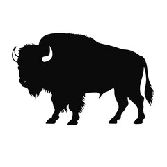 silhouette  of American bison, or buffalo