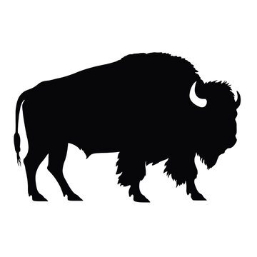 silhouette  of American bison, or buffalo