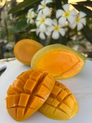 Sweet juicy ripe yellow mangoes on green background under harsh shadow