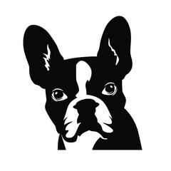 boston terrier Silhouette 
