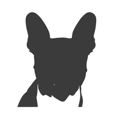 boston terrier Silhouette 