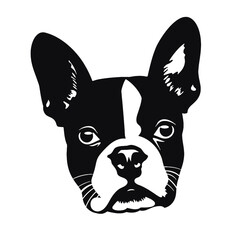 boston terrier Silhouette 