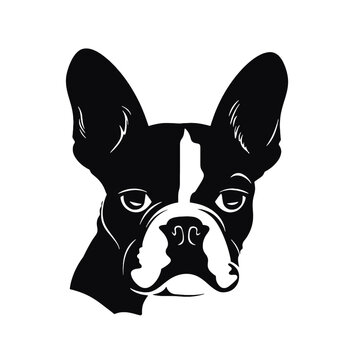 Boston Terrier Silhouette 