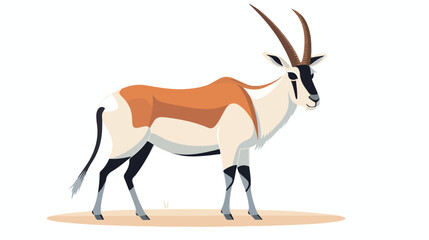 Oryx isolated on white background ..