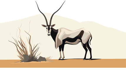 Oryx isolated on white background ..