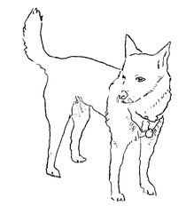 Dog full body  korea dog artist sketch