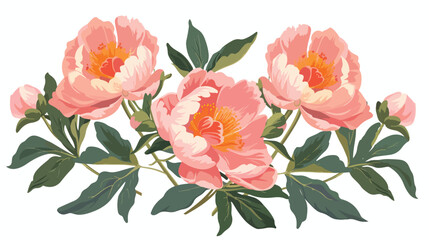 Peonies flat vector isolated on white background 