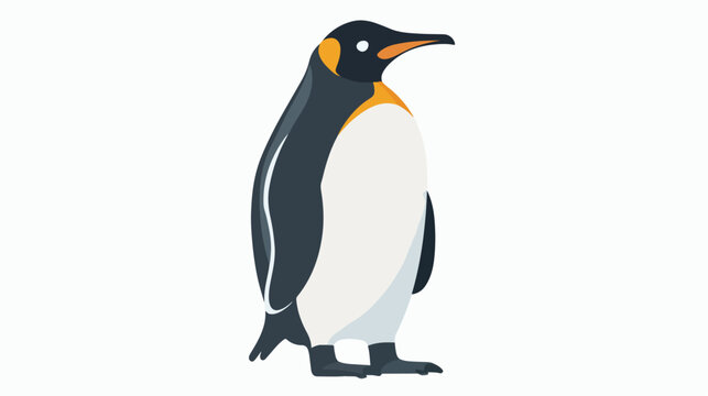 Penguin flat vector isolated on white background 
