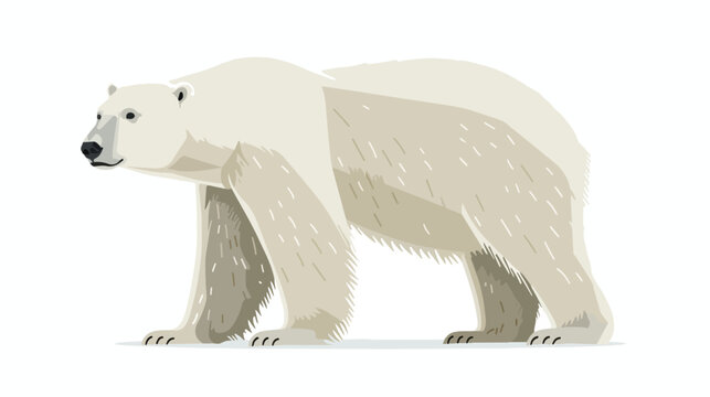 Polar Bear flat vector isolated on white background 