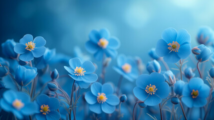 Beautiful spring flowers on blue bokeh background. Floral card.
