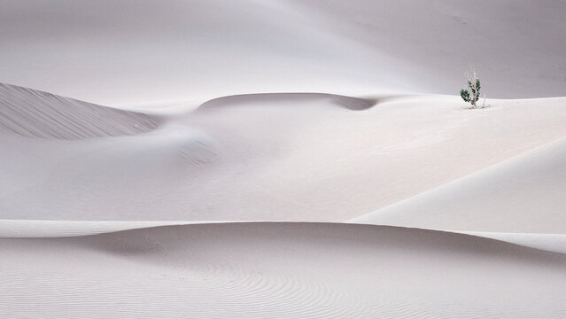 Morocco, Mhamid, Erg Chegaga, Erg M`Hazil, Sahara desert