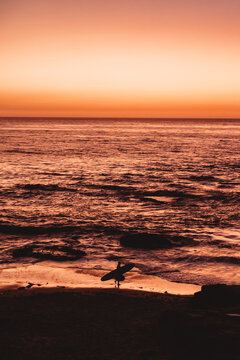 Silhouette of surfer walking on the beach at dusk