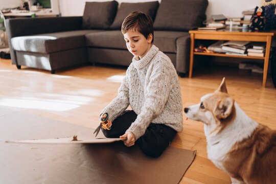 teenage cuts out cardboard with scissors, with a corgi dog nearby