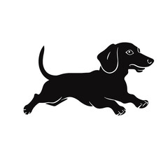 Dachshund dog. Vector black silhouette.