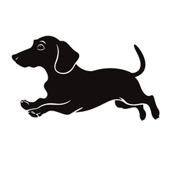 Dachshund dog. Vector black silhouette.