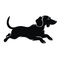 Dachshund dog. Vector black silhouette.