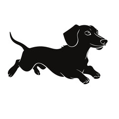 Dachshund dog. Vector black silhouette.