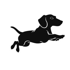 Dachshund dog. Vector black silhouette.