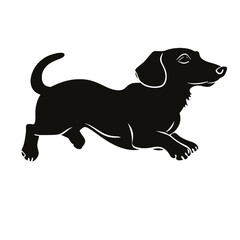 Dachshund dog. Vector black silhouette.