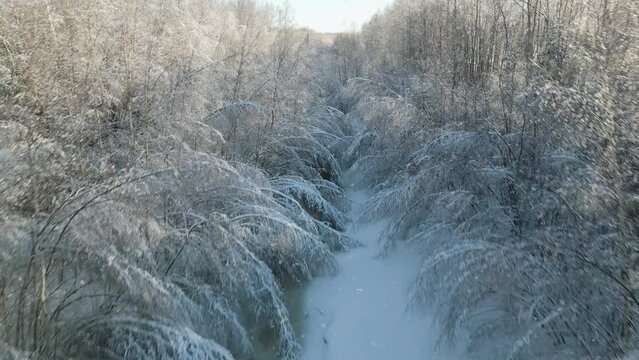 Flying fast in snowy weather past hanging tree branches and frozen winter creek in the forest