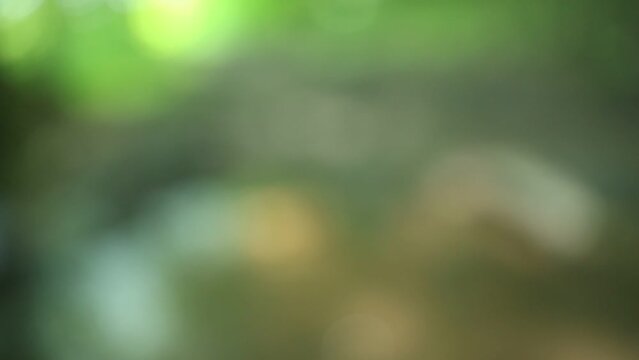 River stream in forest blurred art video background