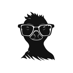 duck with sunglasses