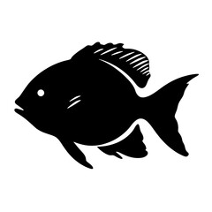 illustration of a fish