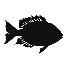 illustration of a fish