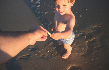 Baby offering a shell to his father on the beach