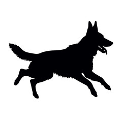 Defense German shepherd dog silhouette isolated on a white background. Vector illustration