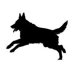 Defense German shepherd dog silhouette isolated on a white background. Vector illustration