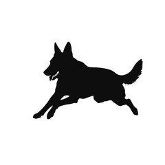 German shepherd  Silhouette 