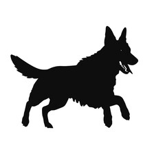 German shepherd  Silhouette 