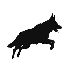 German shepherd  Silhouette 