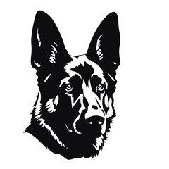 Vector Silhouette  portrait of a German shepherd dog on a white background