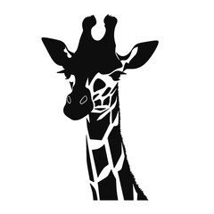 Fototapeta premium Giraffe Silhouette