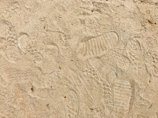 The footprints' surface on the sandy beach.